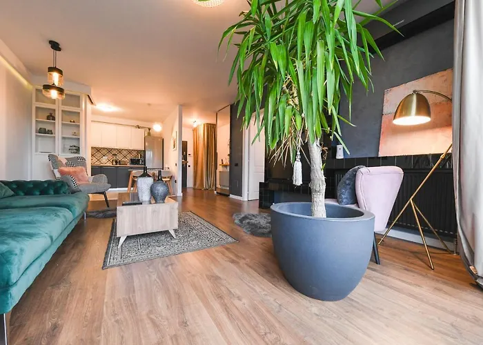 Grand Park Rose Iulius Mall